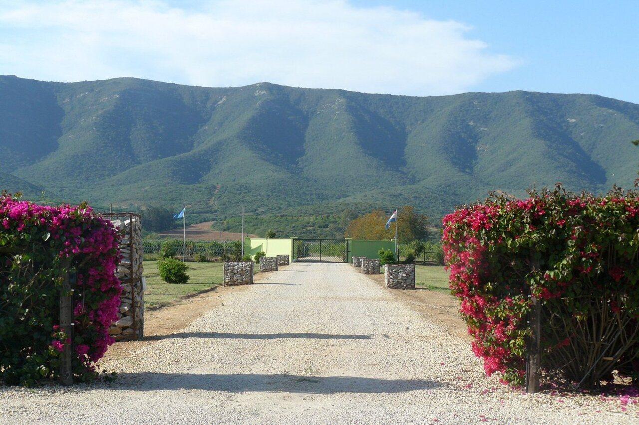 Lemon 3 Lodge Guesthouse Kirkwood Εξωτερικό φωτογραφία
